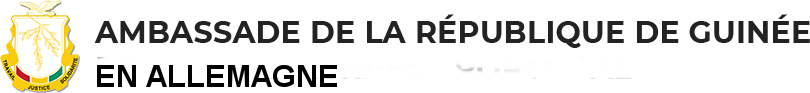 Ambassade de la république de guinée en allemagne